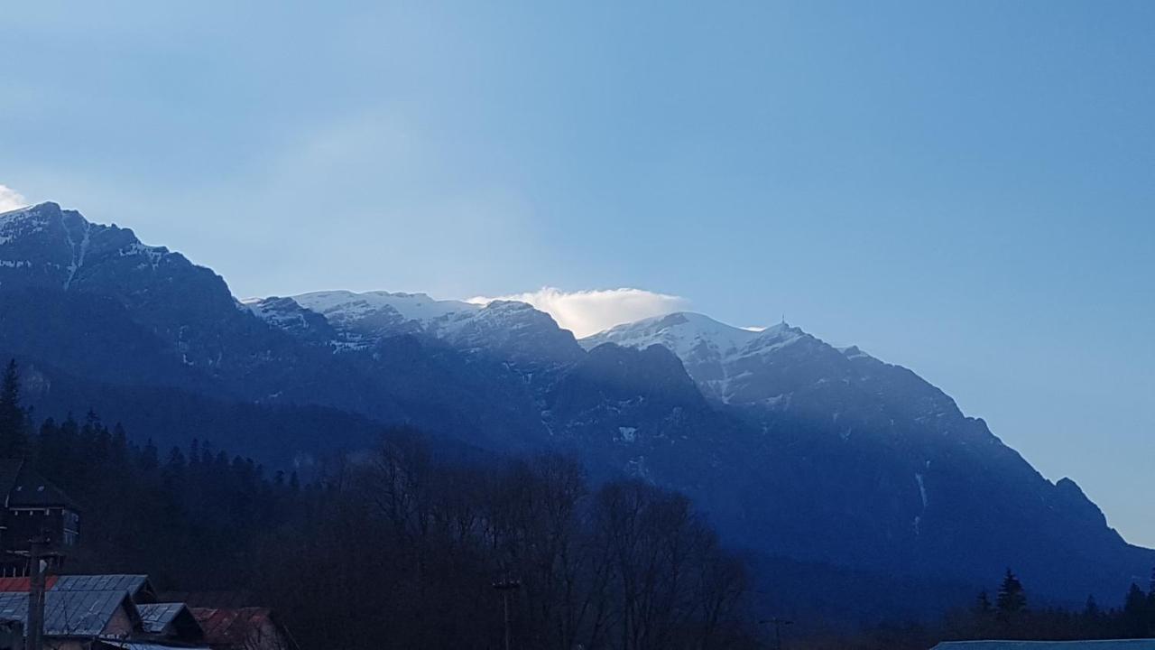 Apartament Greenstar Sinaia Kültér fotó