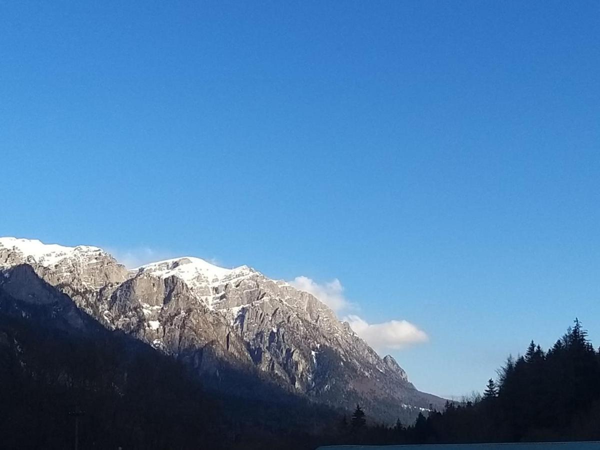 Apartament Greenstar Sinaia Kültér fotó