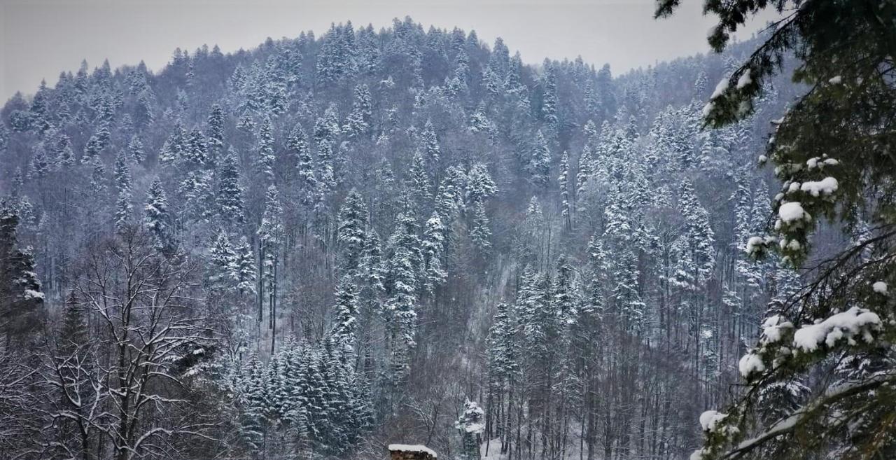 Apartament Greenstar Sinaia Kültér fotó