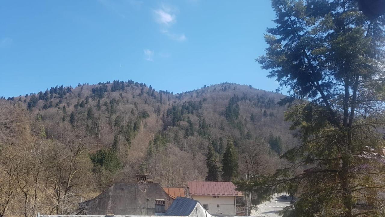 Apartament Greenstar Sinaia Kültér fotó
