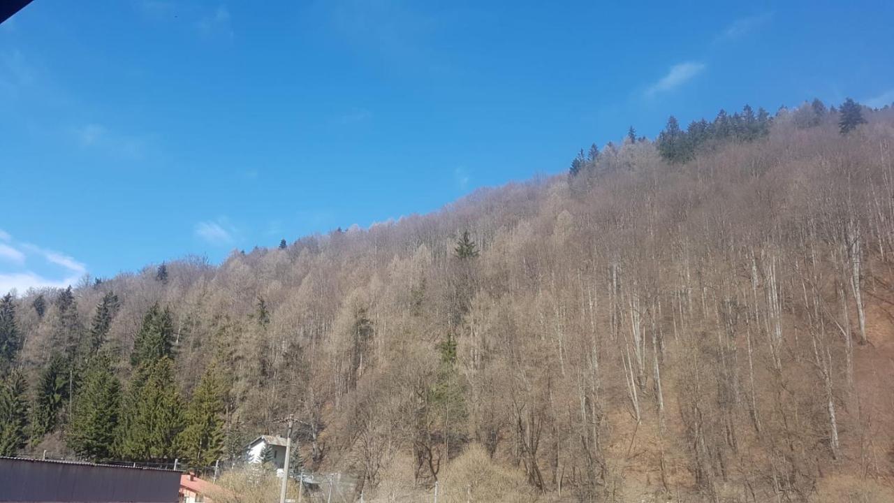 Apartament Greenstar Sinaia Kültér fotó