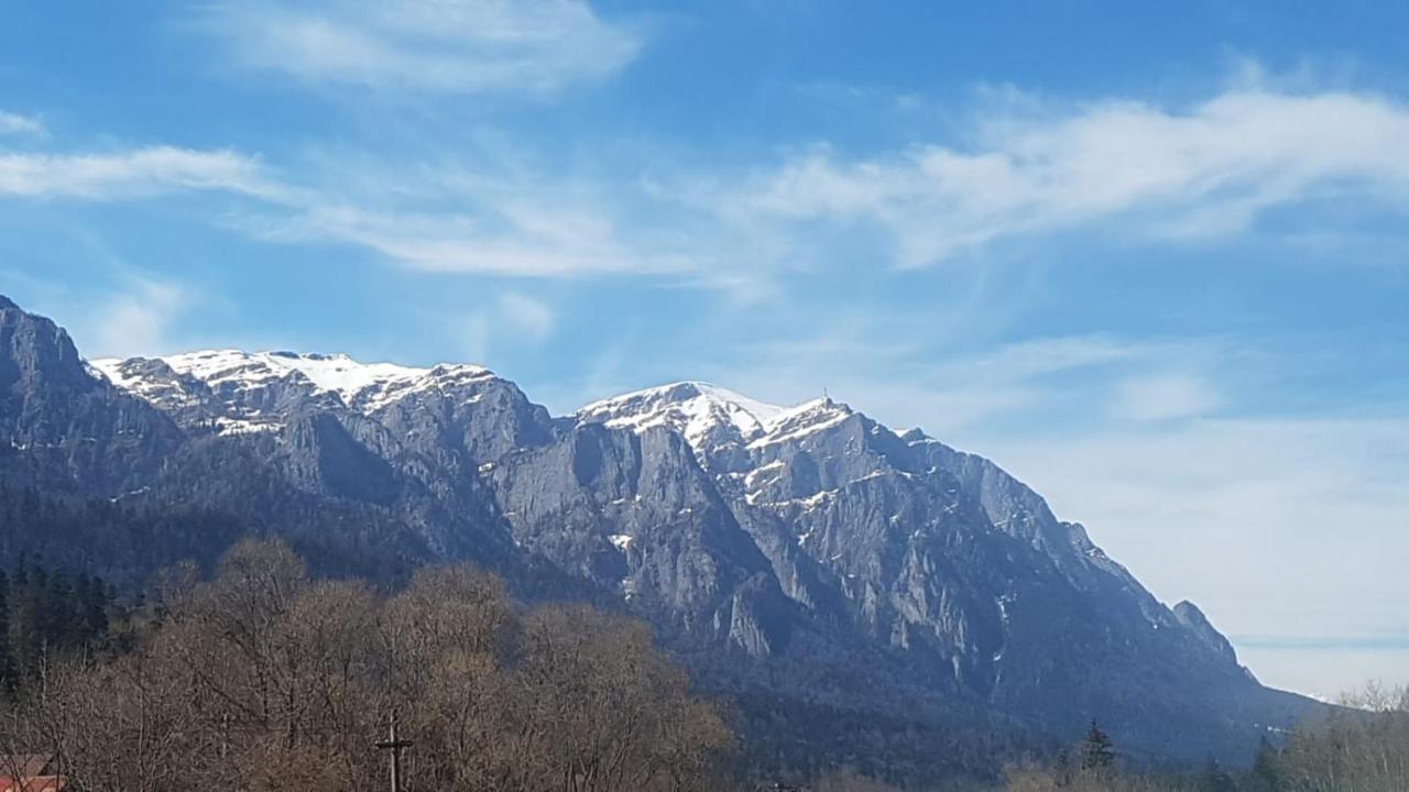 Apartament Greenstar Sinaia Kültér fotó